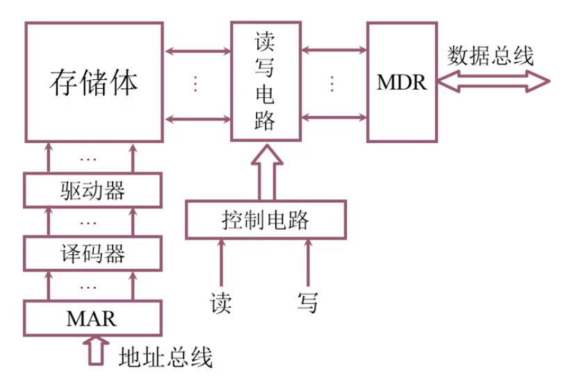 主存的基本组成